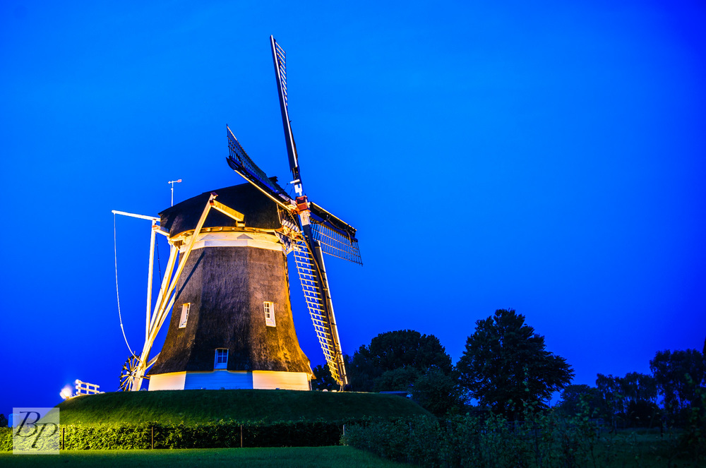 WindMill Night Light