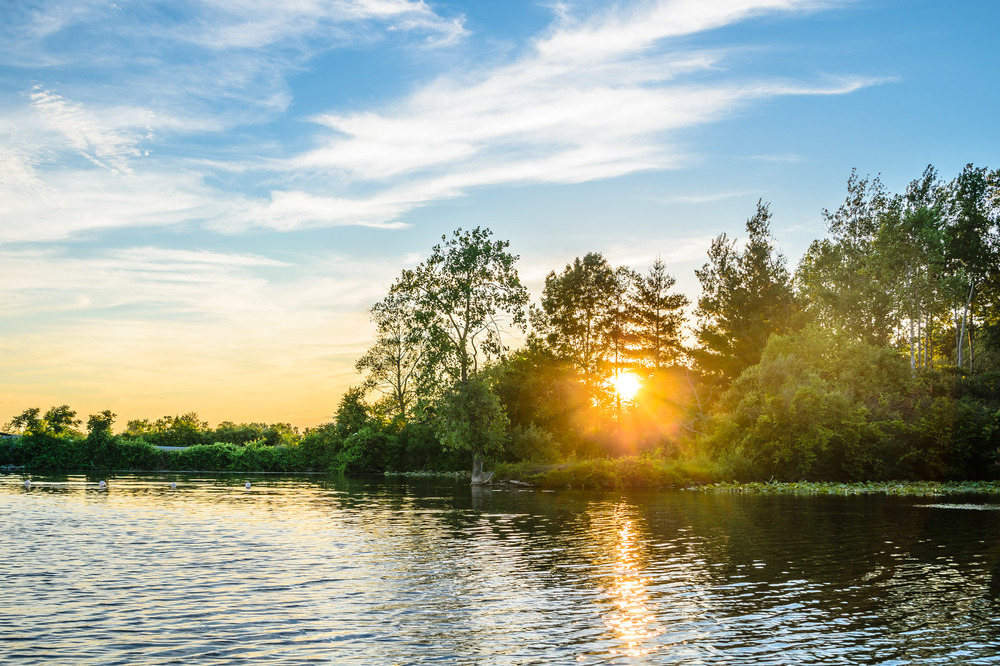 My brother treated me to a fishing trip on one of our local ponds. Of course I could not resist taking my camera to capture the sunset - even on the boat. This shot was taken while we were heading to another section of the pond.